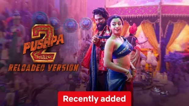 Pushpa: The Rule – Part 2 (2024) Dual Audio [Hindi-Telugu] Netflix WEB-DL 1080P